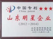 榮譽證書